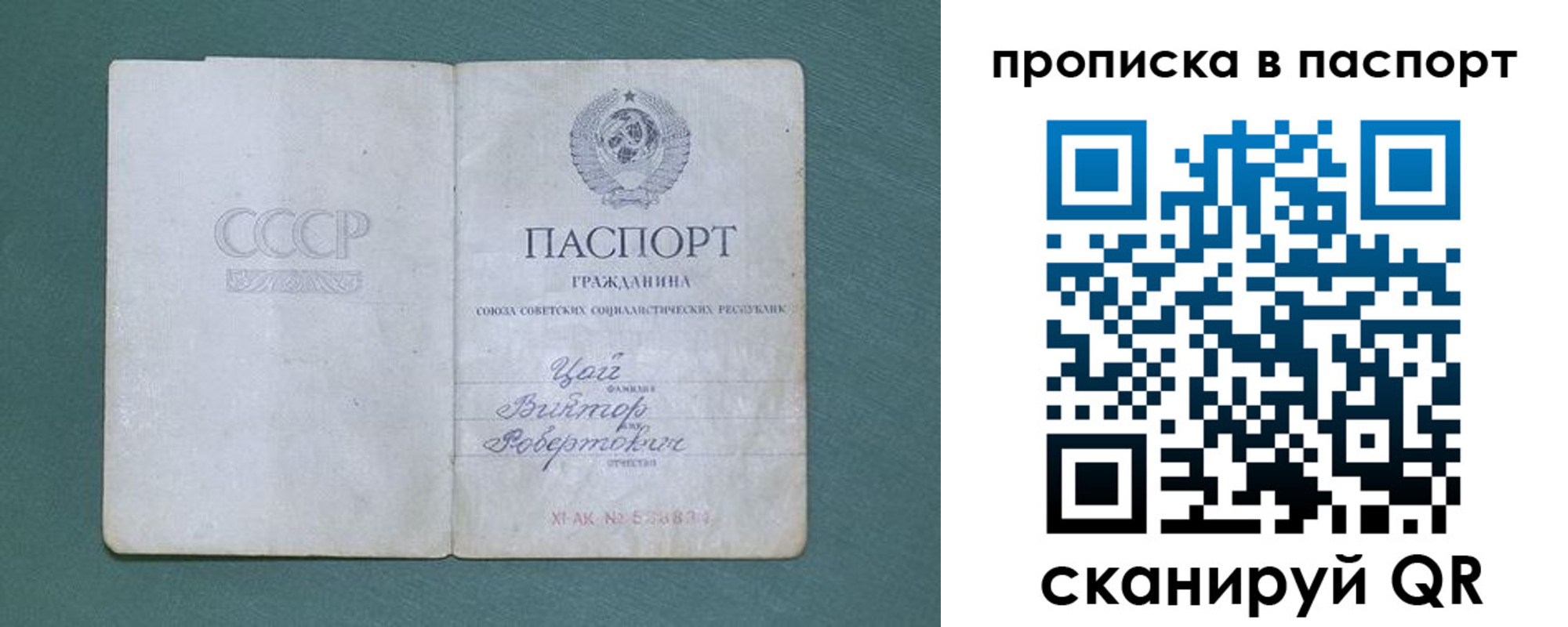 где прописаться в Выксе